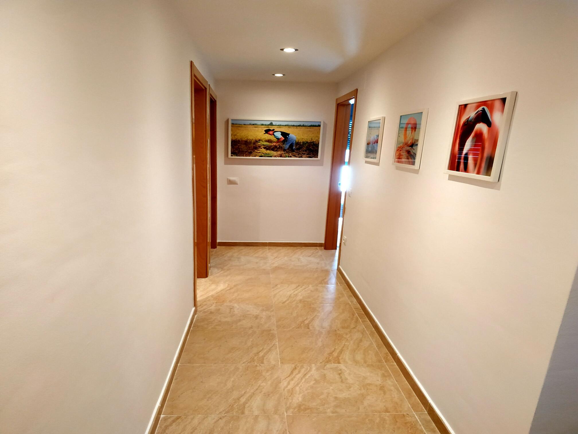 Miami1687972669459.jpg